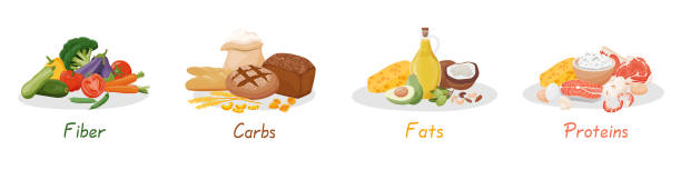 건강한 다량 영양소 세트. 섬유, 단백질, 지방 및 탄수화물은 식품에 의해 제시됩니다. 영양 범주의 벡터 일러스트레이션입니다. 균형 잡힌 영양. 건강 식품 - carbohydrate stock illustrations