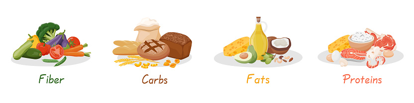 Set of healthy macronutrients. Fiber, proteins, fats and carbs presented by food products. Vector illustration of nutrition categories. Balanced nutrition. Healthy food.