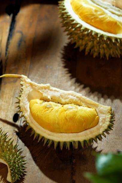 istock Durian King of Fruit 1404655237