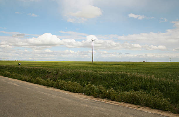 Green field stock photo