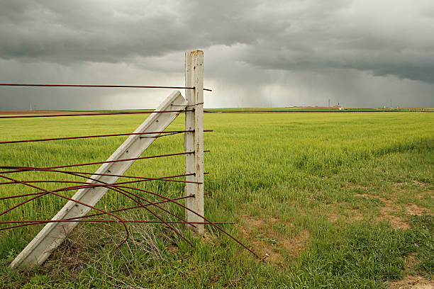 Fence in the field stock photo