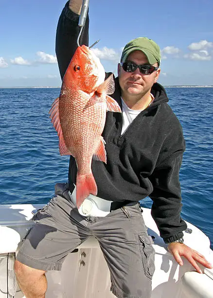 Red snapper caugth on a sunny day in the gulf of Mexico.