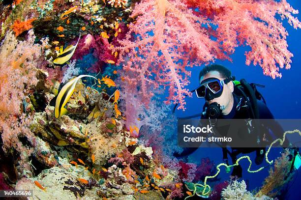 Butterfly Reef Stock Photo - Download Image Now - Reef, Scuba Diving, Activity