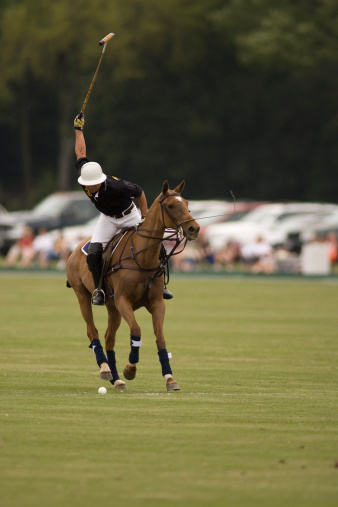 Freestyle polo match between Gilgit and Chitral at the Shandur Pass in Northern Pakistan