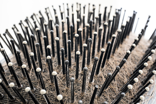 Used paddle hairbrush full of fallen hair, close up macro shot, no people.