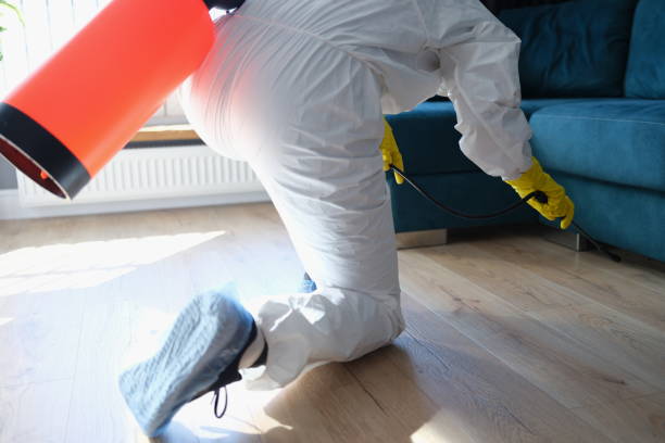 Person in hazmat suit disinfects living room with spray gun Person in hazmat suit disinfects living room with spray gun. Prevention of spread of diseases. Sanitary processing of premises cockroach food stock pictures, royalty-free photos & images