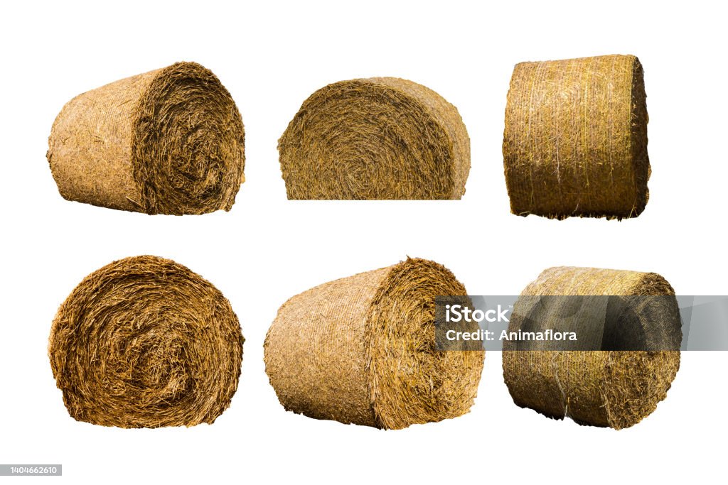 Straw bale isolated on white background Bale Stock Photo