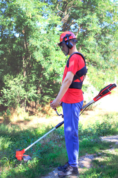 istock A man mows the grass with a battery weed trimmer 1404664763