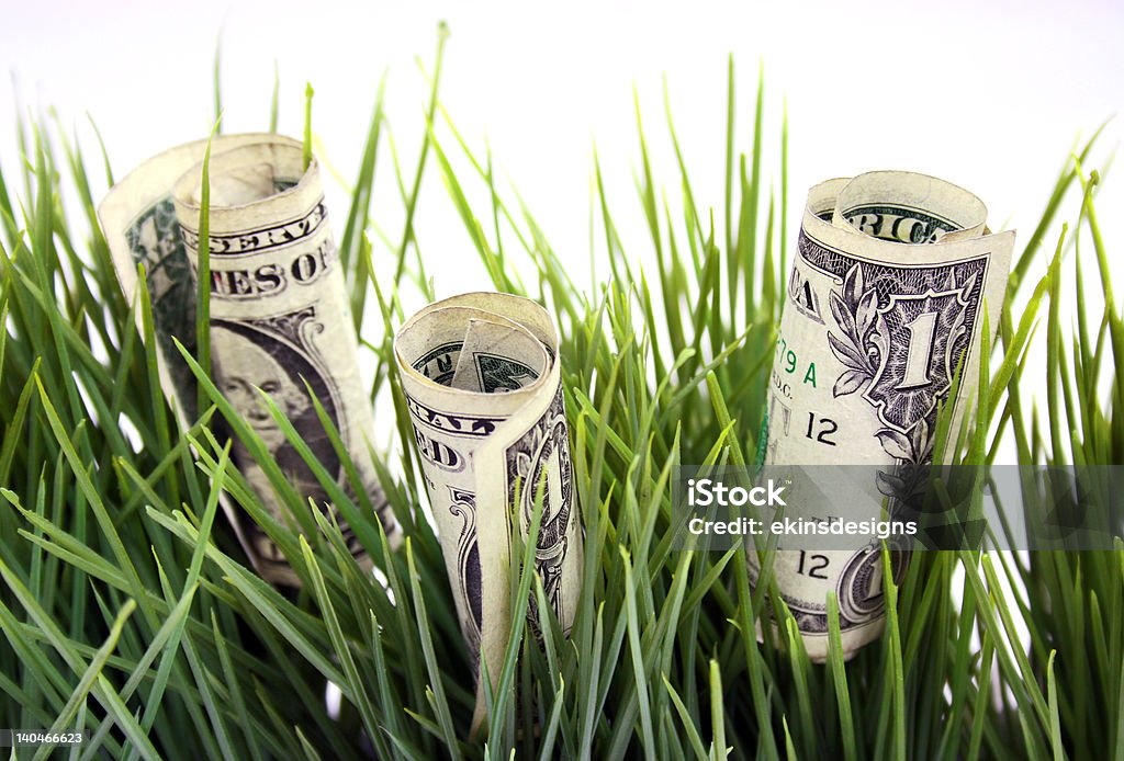 money growth - growing in the grass one dollar bills growing in the green grass Dollar Sign Stock Photo