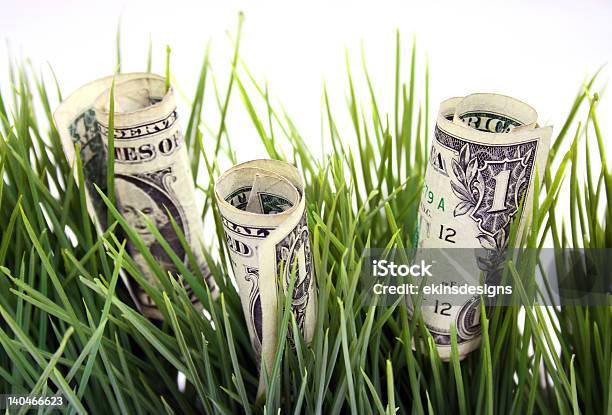 Money Growth Growing In The Grass Stock Photo - Download Image Now - Dollar Sign, Hedge, US Paper Currency