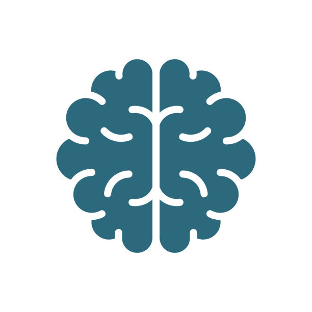 ilustrações de stock, clip art, desenhos animados e ícones de human brain colored icon. healthy internal organ symbol - brain human head people human internal organ