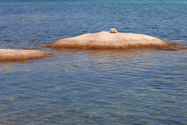 Stone on a rock in blue water stock photo