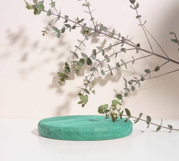 istock Round green wooden platform and eucalyptus branch on a beige background. 1404668170