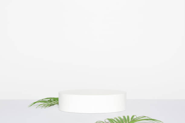 istock Abstract empty white podium and palm leaves on grey background. Mock up stand for product presentation. 3D Render. Minimal concept. 1404669975