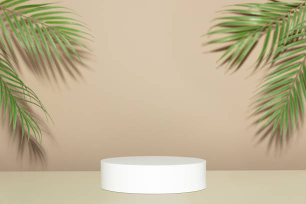 istock Abstract empty white podium with palm leaves on beige background 1404669980