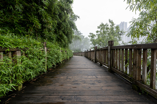 Wooden plank road in City Park