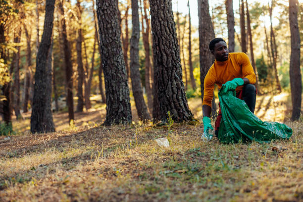 istock Man collecting waste in nature 1404670437