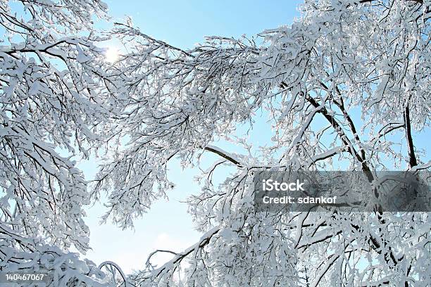 Alberi Coperti Di Neve - Fotografie stock e altre immagini di Albero - Albero, Albero deciduo, Ambientazione esterna