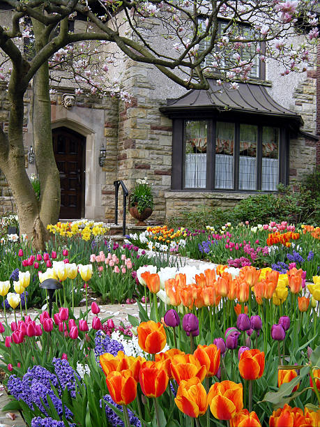 A tasteful mix of rich colors.