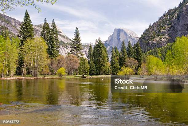 Dziki Yosemite - zdjęcia stockowe i więcej obrazów Drzewo - Drzewo, Drzewo iglaste, Drzewo wiecznie zielone