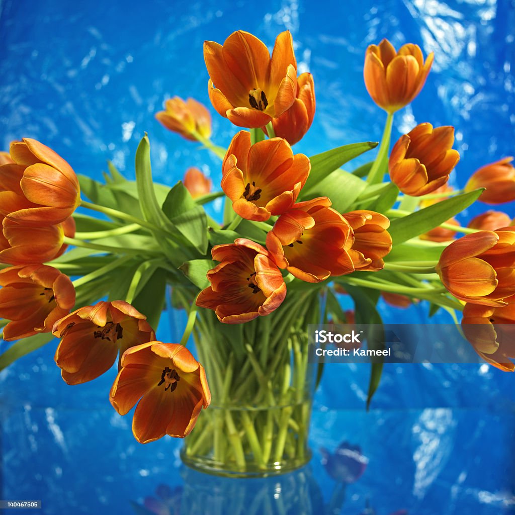 Букет из ярких тюльпаны оранжевый - Стоковые фото Без людей роялти-фри