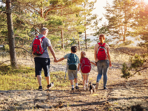 Family with backpacks on the nature near the sea. Concept of the family hiking and joint resting.