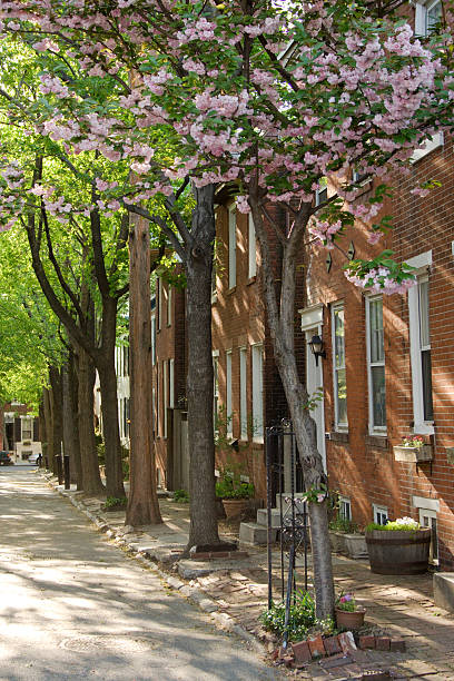 filadélfia em bloom - philadelphia pennsylvania sidewalk street - fotografias e filmes do acervo