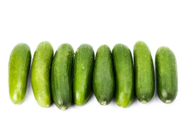 Delicious green cucumbers. Tasty vegetables. Healthy and organic food