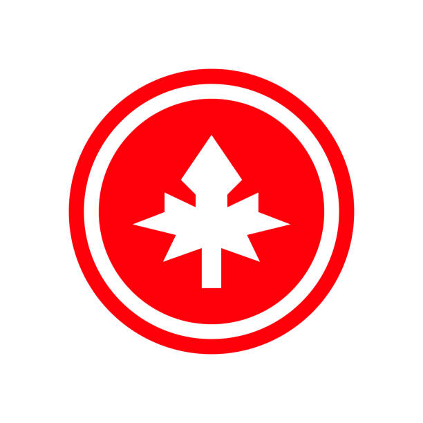 ilustrações, clipart, desenhos animados e ícones de moeda canadense com padrão de folha de bordo. vetor. - canadian flag maple leaf canada computer icon