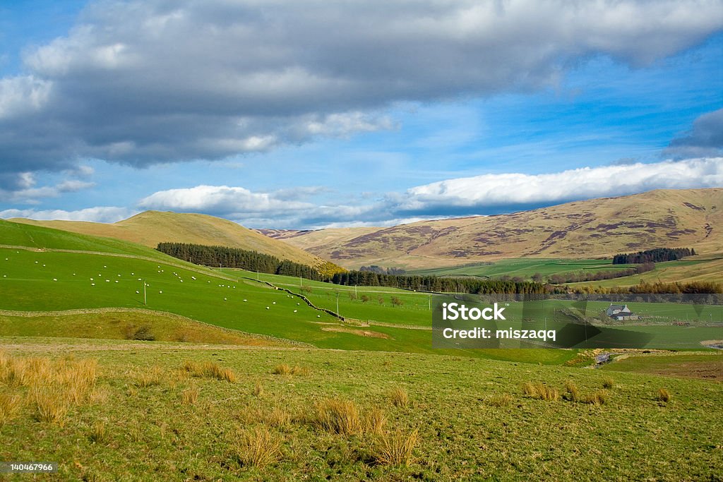 Scottish borders, la highlands - Foto stock royalty-free di Agricoltura