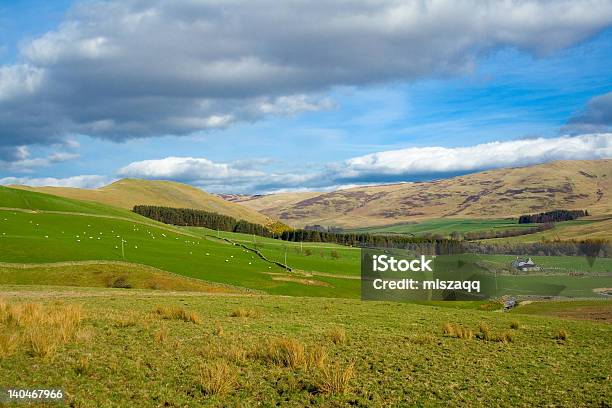 Scottish Borders La Highlands - Fotografie stock e altre immagini di Agricoltura - Agricoltura, Ambientazione esterna, Attività