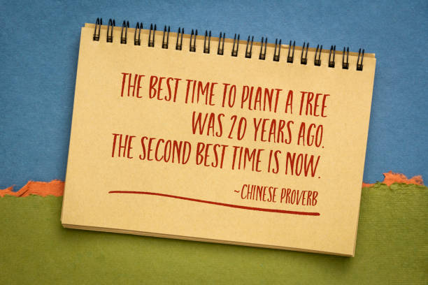 istock the best time to plant a tree - Chinese proverb 1404680420
