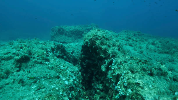 school of fish swims above crack in the seabed over tectonic plates. tiktanic displacement of plates at the bottom of the sea. mediterranean underwater seascape. mediterranean sea - plate tectonics imagens e fotografias de stock