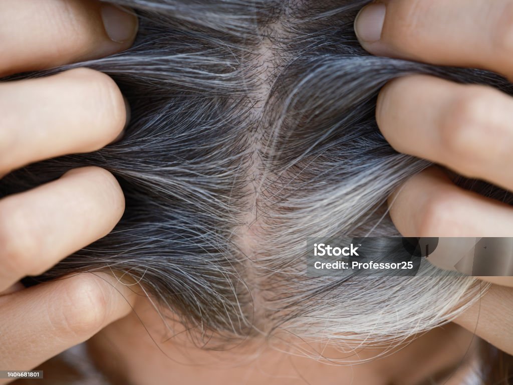 A woman showing her gray hair roots A woman showing her gray hair roots. Going gray concept. Close up. Gray Hair Stock Photo