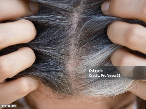 A Woman Showing Her Gray Hair Roots Stock Photo - Download Image Now - Gray Hair, Young Women, Dyed Hair