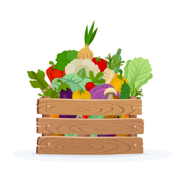 illustrazioni stock, clip art, cartoni animati e icone di tendenza di verdure biologiche in cassette di legno su fondo bianco. - white background healthy eating meal salad