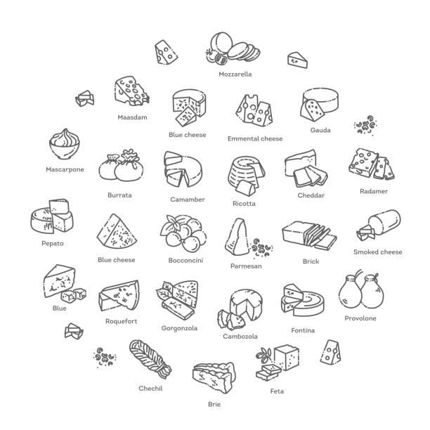 ilustrações, clipart, desenhos animados e ícones de coleção de queijo. ilustração vetorial dos tipos de queijo - cheese delicatessen italian culture variation
