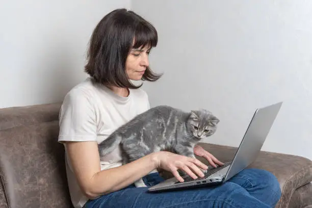 Beautiful middle aged woman with a cutecat works at home on a laptop. Middle-aged woman works remotely. Workplace concept at home with pets. Pets are part of the family
