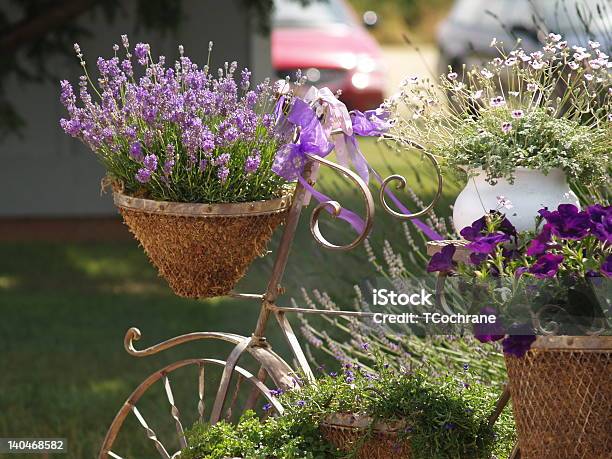 Korb Mit Lavendel Stockfoto und mehr Bilder von Agrarbetrieb - Agrarbetrieb, Band, Blume