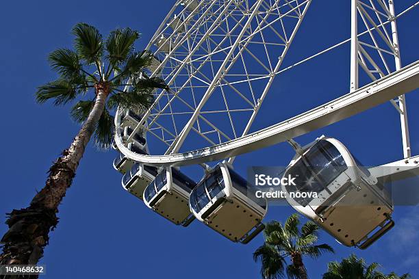 대관람차 Palmtrees 리조트 가족에 대한 스톡 사진 및 기타 이미지 - 가족, 개념과 주제, 건설 산업