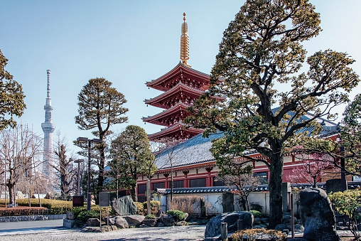Asakusa, Tokyo, Japan - February 2019 -  Senso-ji temple in Asakusa district, Tokyo