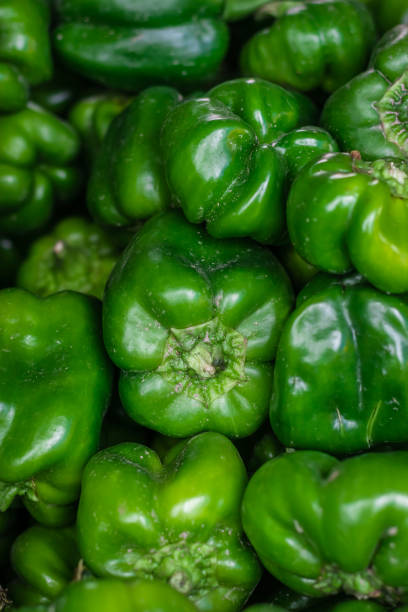 istock fresh organic green capsicum from farm close up from different angle 1404692936