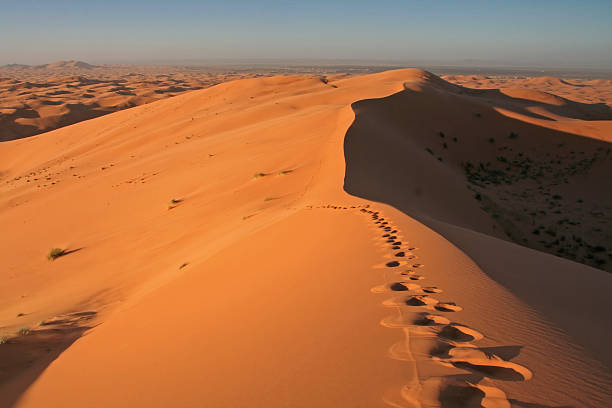 istock Footsteps in Erg Chebbi sand dunes 140469342