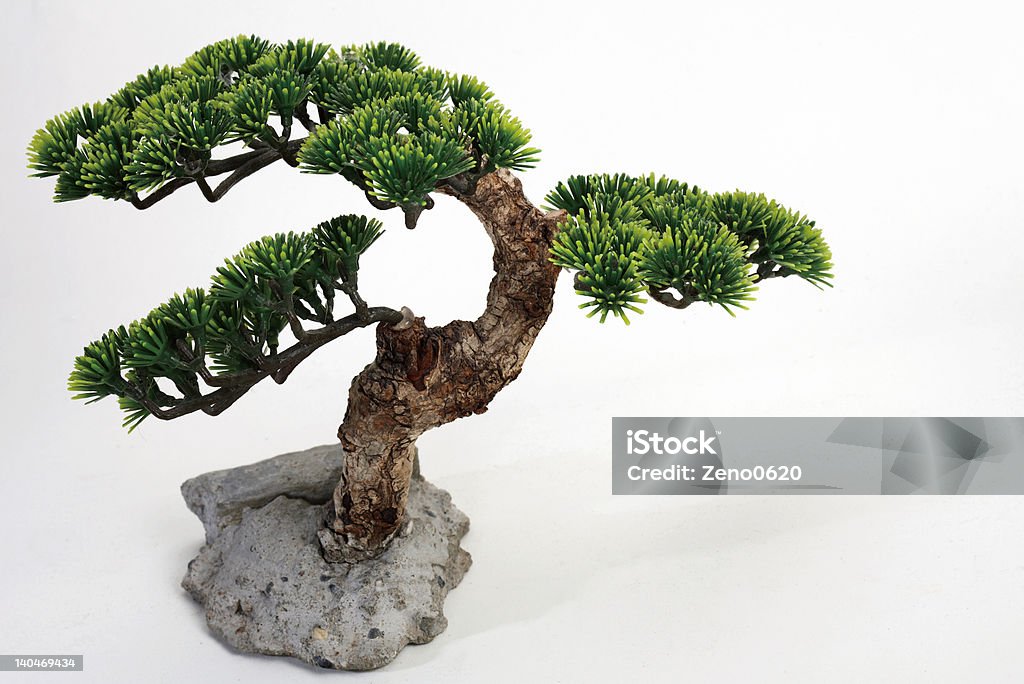 Bonsai - Photo de Asie de l'Est libre de droits