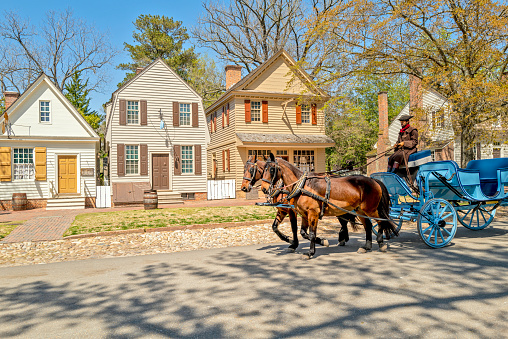 Williamsburg, Virginia, USA: April 13 2022; Actor driving a beautiful horse and carriage on a street in historic colonial Williamsburg
