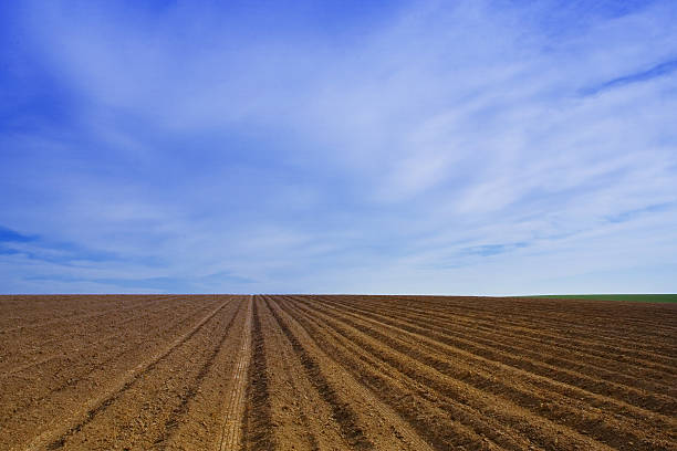 istock Farm in Idaho 140469644