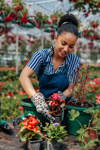 istock Florist enjoy working in the greenhouse 1404698170