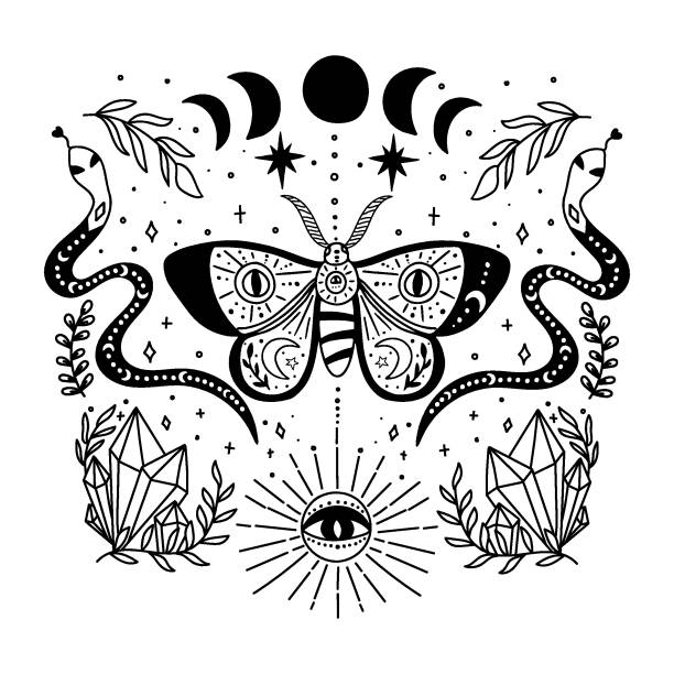 illustrations, cliparts, dessins animés et icônes de composition de papillon mystique. décoré avec des éléments magiques. - spring abstract insect dreams