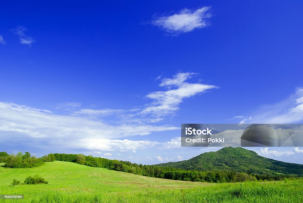 Meadow with clouds. Agricultural Field Stock Photo