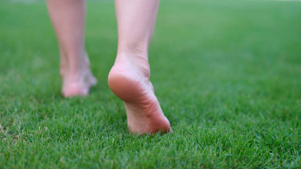 Bare feet walking on green grass in morning closeup stock photo